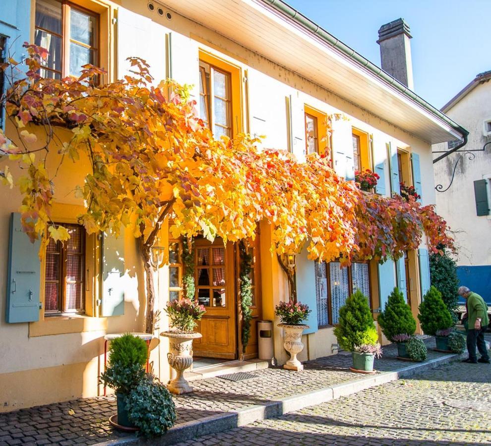 Le Cinquante Quatre Apartment Perroy Екстериор снимка